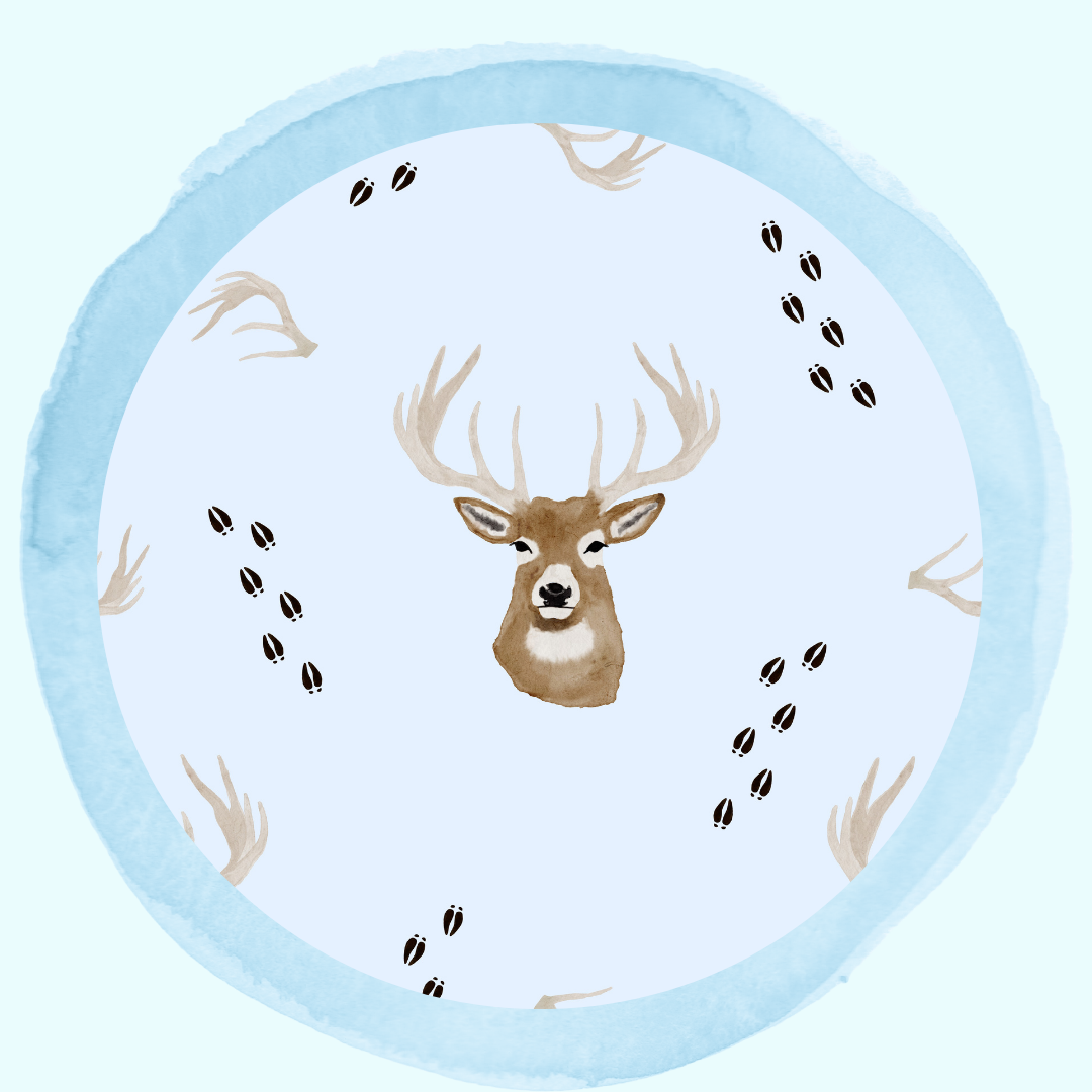 Bedtime Bucks Blue