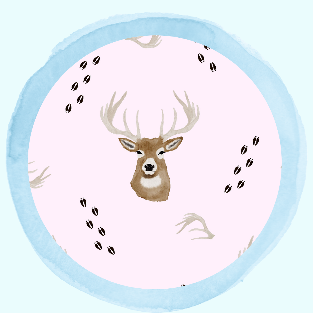Bedtime Bucks Pink