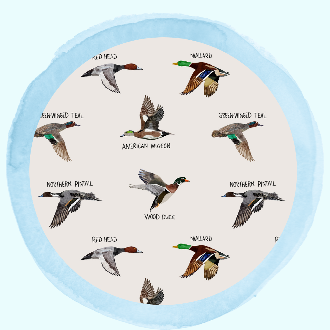 Fall & Winter Favorites